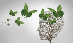 Πρωτοπαθής Προοδευτική Αφασία